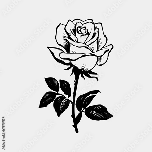 Rose Single Icon Symbol Isolated Graphic Concept, Rose Lover Vintage Retro Black Graphic Illustration Design Clothing