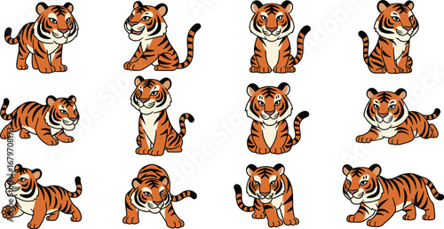 Cartoon tigers poses, standing, sitting, playful expressions. Wildlife, animals, zoo, illustration