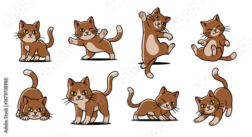 Cute brown cats pose in various playful positions. Cartoon animals, feline behavior, pets, animation, happy, cheerful.