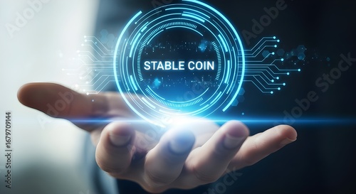 Understanding Stablecoins Their Role in the Digital Economy and Future Potential