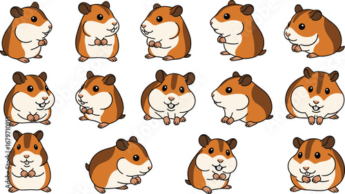 Cute hamsters in various poses on white. Rodent, cartoon, animal, pet, small, hamster, happy, domestic, cute, illustration, isolated, design, adorable, furry