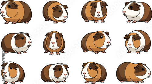 Twelve guinea pigs face forward, cute cartoon. Pet rodents, cavies, small animals, domestic mammals, brown and white, adorable critters, animal art, illustration.