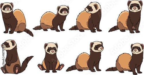 Ferrets pose in various positions. Mammals, pets, animals, cute, cartoon, illustration, nature, wildlife, character