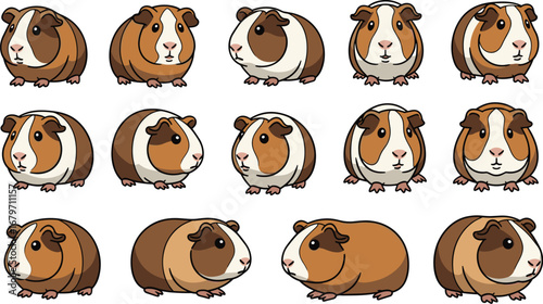 Guinea pigs in various poses on white. Cartoon rodents with markings, cute pets. Illustration, animals, mammals, pets, domestic, cavy, art, drawing