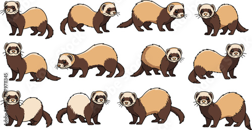 Ferret pattern on white background. Animal illustration, mammal, weasel, pet, wildlife, cartoon, playful, cute