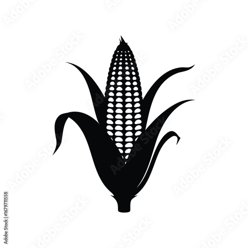 A minimalist black and white illustration of a mature ear of corn, corn stalk silhouette vector illustration