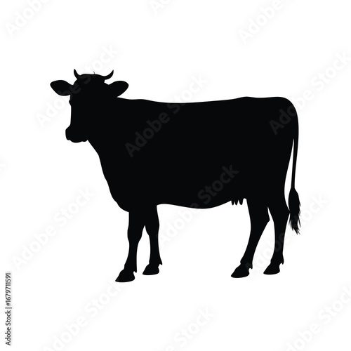 Black silhouette of a cow standing against a bright white background, cow  silhouette vector illustration