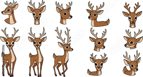 Cute cartoon deer in various poses. Animal illustration, fawn, reindeer, woodland, drawing, wildlife