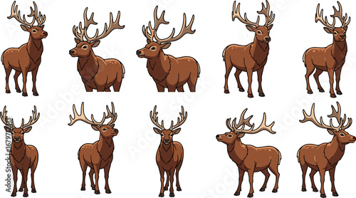 Cartoon deer stand in various poses. Wildlife, nature, stag, mammal, reindeer, antler, forest.