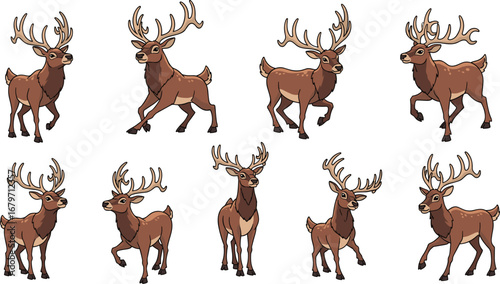 Deer poses in various stances, vector illustration. Wildlife, animal, cartoon, nature, forest, reindeer, mammal, antlers, cute, standing, wildlife, woodland.