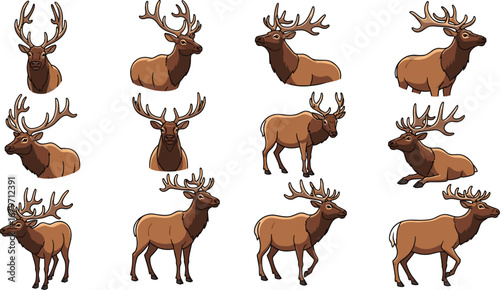 Cartoon elk poses in various stances. Wildlife, animals, forest, nature, mammals, antlers, deer, illustration, clip art, wilderness, fauna