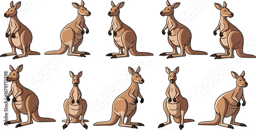 Cartoon kangaroos standing and sitting. Wildlife, mammal, marsupial, animal, australia, character, cute, illustration, jumping, nature, zoology, wildlife.