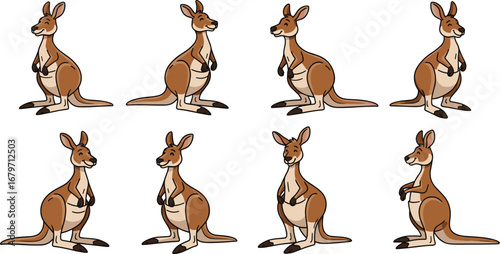 Set of cartoon kangaroos standing upright. Australian wildlife, marsupial animals, cute character, illustration, fauna, native, mammal, animal, zoo, wildlife, vector.