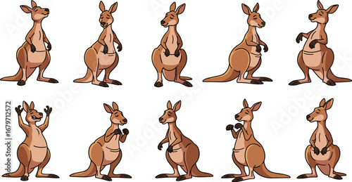 Cartoon kangaroos pose in various positions. Wildlife, fauna, marsupial, standing, mammal, illustration, animal, cute, happy, design, comic, character, cartoon.