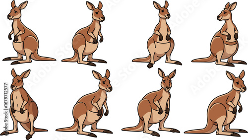 Cartoon kangaroos stand alert in various poses. Australian wildlife, mammal, animal, zoo, marsupial, standing, cute, nature