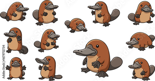 Cute platypus cartoon characters in various poses. Animals, nature, illustration, funny, playful