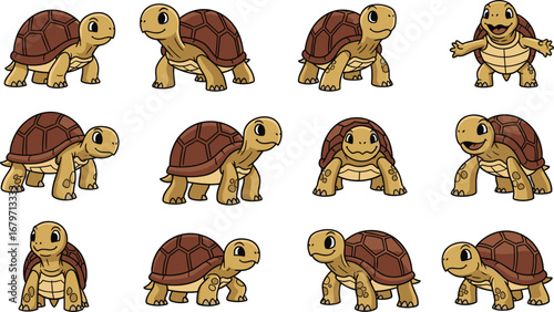 Cartoon turtles poses in various positions. Cute animals, illustration, mascot, character design, reptiles