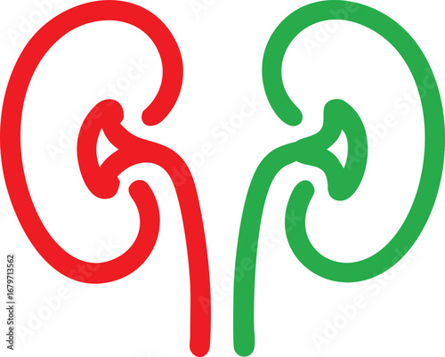 Kidneys Icon Healthy and Damage Sign