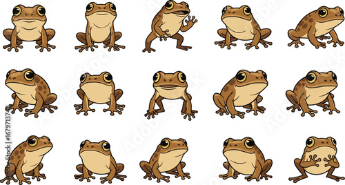 Collection of cartoon frogs in various poses. Amphibians, wildlife, cute, funny, nature, mascot, drawing, animation, illustration, characters, wetland animals.
