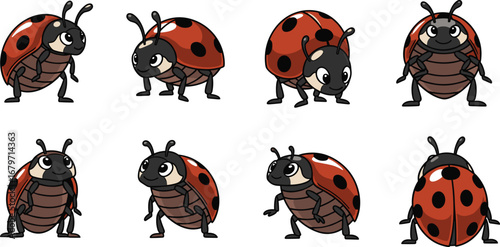 Cartoon ladybugs with different poses on white. Insect vector art, character, isolated, spring, cute, graphic design, animal, bug