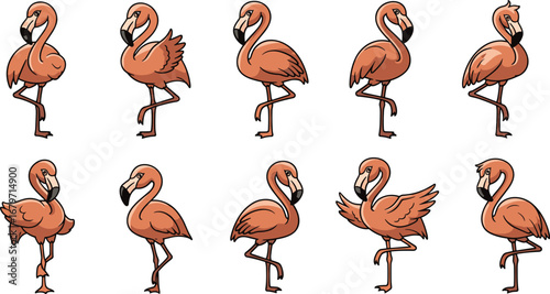Flamingo pattern set, cartoon pink birds. Tropical wildlife, exotic animal, summer, illustration, drawing, design, cute, nature, zoo, wildlife, bird.