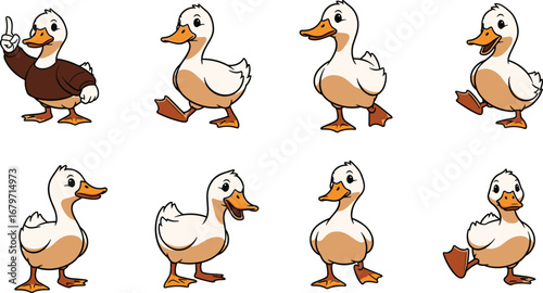 Cartoon ducks pose in various positions. Funny bird character, animation design, comic vector, cute animal, farm fowl, water bird, illustration, humor