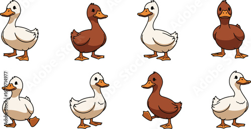 Cartoon ducks of white and brown color in pattern. Farm animals, poultry, waterfowl, cute, domestic, wildlife.