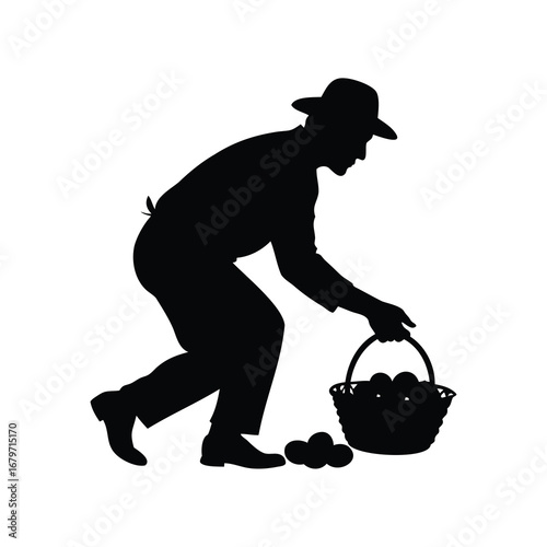 Silhouette of a man picking fruit into a basket with a hat, farmer collecting eggs silhouette vector illustration