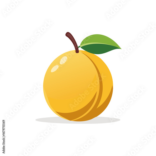 Illustration of a ripe yellow apricot fruit with green leaf, isolated.