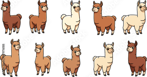 Cartoon alpacas stand, different colors, wool. Farm animals, cute, mammal, llama, funny, illustration, fluffy, animal