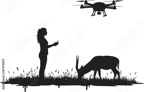 Silhouette of a woman controlling a drone observing a grazing an