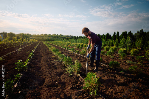 Canvas Print Male worker hoeing seedlings at tree nursery.