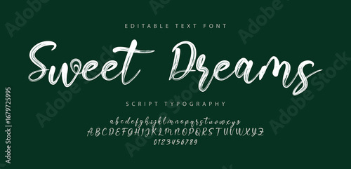 Sweet Dreams logo signature Font. Calligraphy Logotype Script Brush Font Type Font lettering handwritten. vector illustration 
