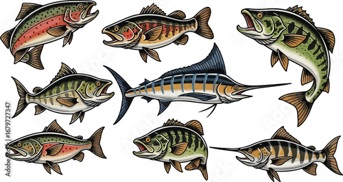 Collection of various freshwater and saltwater fish species on a white background