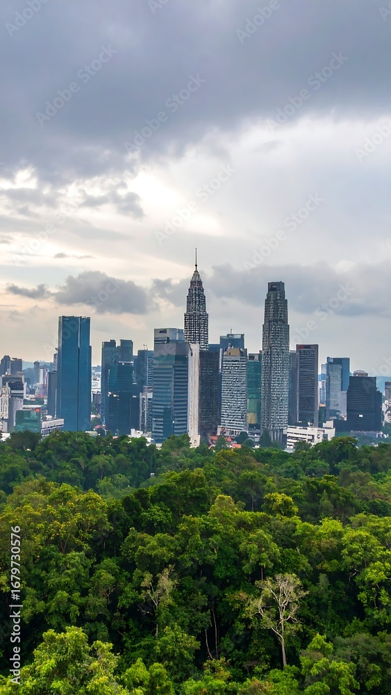 Obraz premium City skyline view from a park