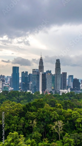 City skyline view from a park