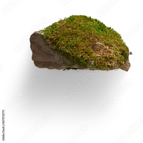 green moss isolated on white