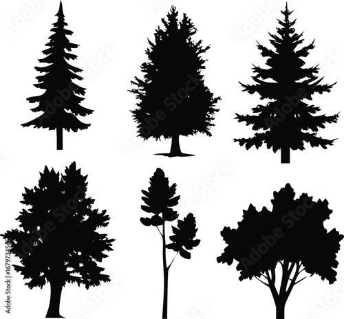 Diverse Tree Silhouettes A Collection of Evergreen and Deciduous Forms Presenting a Variety of Natural Shapes and Textures