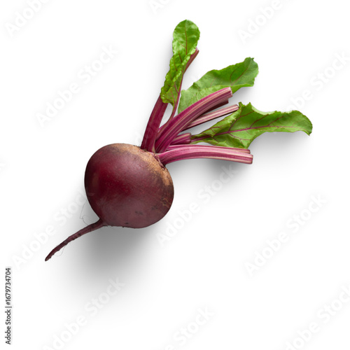 red radish isolated on white
