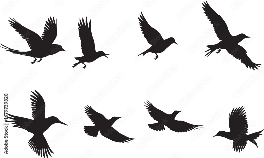 Obraz premium Collection of Bird Silhouettes in Various Flight Poses Creating a Sense of Freedom and Graceful Movement with a Clean Minimalist Aesthetic