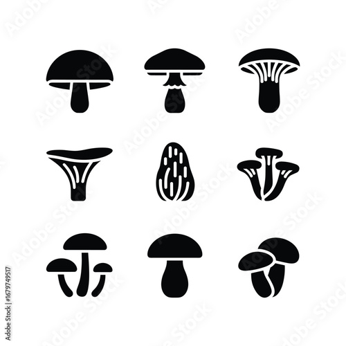 Collection of nine diverse black mushroom icons representing different edible and wild fungi varieties