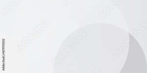White geometric abstract background overlap layer on bright space with lines effect decoration. Modern graphic design element circles style concept for banner.