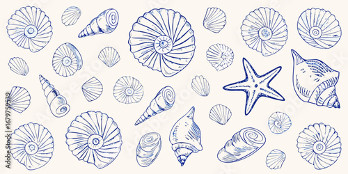 Collection of blue ink drawn seashells and a starfish scattered on a cream background