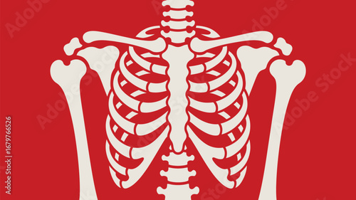 Striking abstract human rib cage and bones design against bold red background