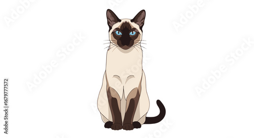 Illustration of a siamese cat sitting upright with blue eyes and dark brown markings on a white background on transparent background