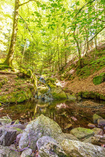 Stream landscape in the Haut Languedoc region of southern France. Small waterfalls and water running through the forests of Hérault.
