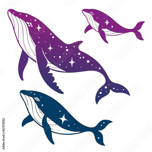 seamless pattern with dolphins