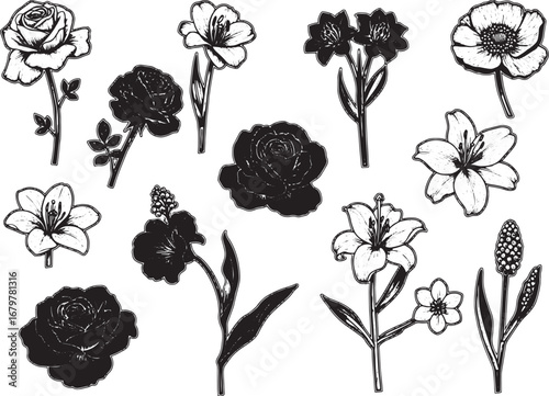 Botanical Engravings: Collection of Woodcut Style Floral Illustr