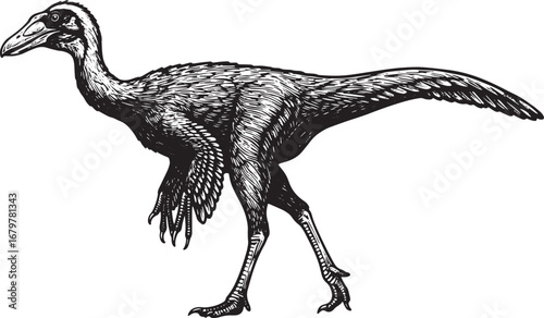 Monochrome Struthiomimus Illustration: Prehistoric Ostrich Dinos