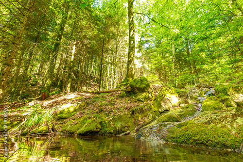Stream landscape in the Haut Languedoc region of southern France. Small waterfalls and water running through the forests of Hérault.
